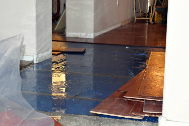 Professional Basement Flood Cleanup technician working in Ariel, WA